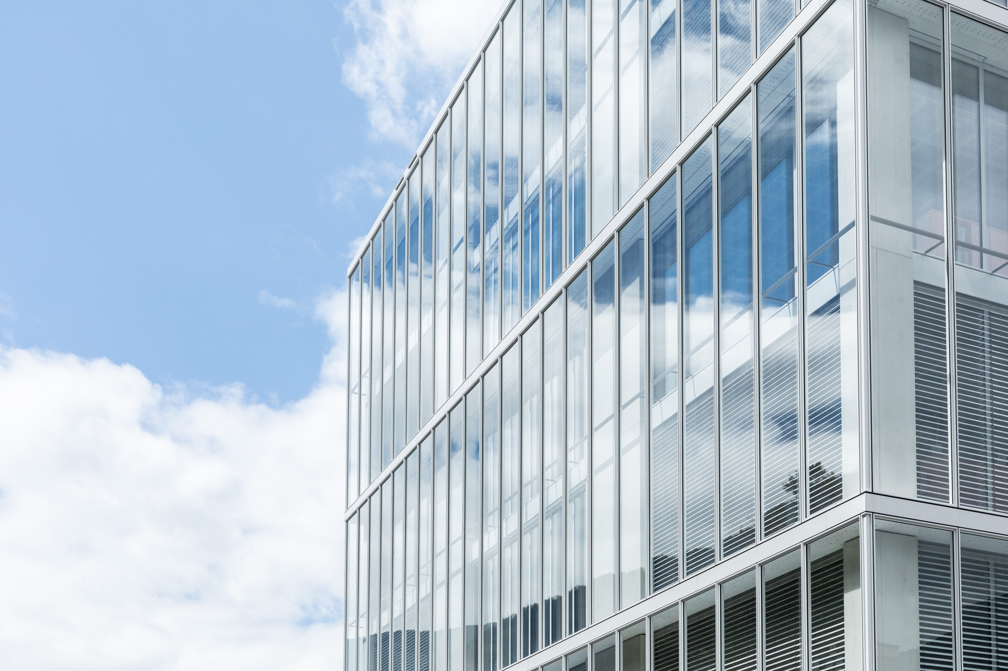 AI at Uni Distance Suisse: Policy, Governance and Support