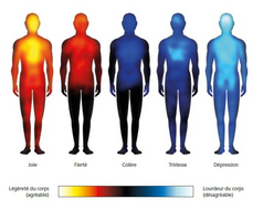 Bodily maps of emotions